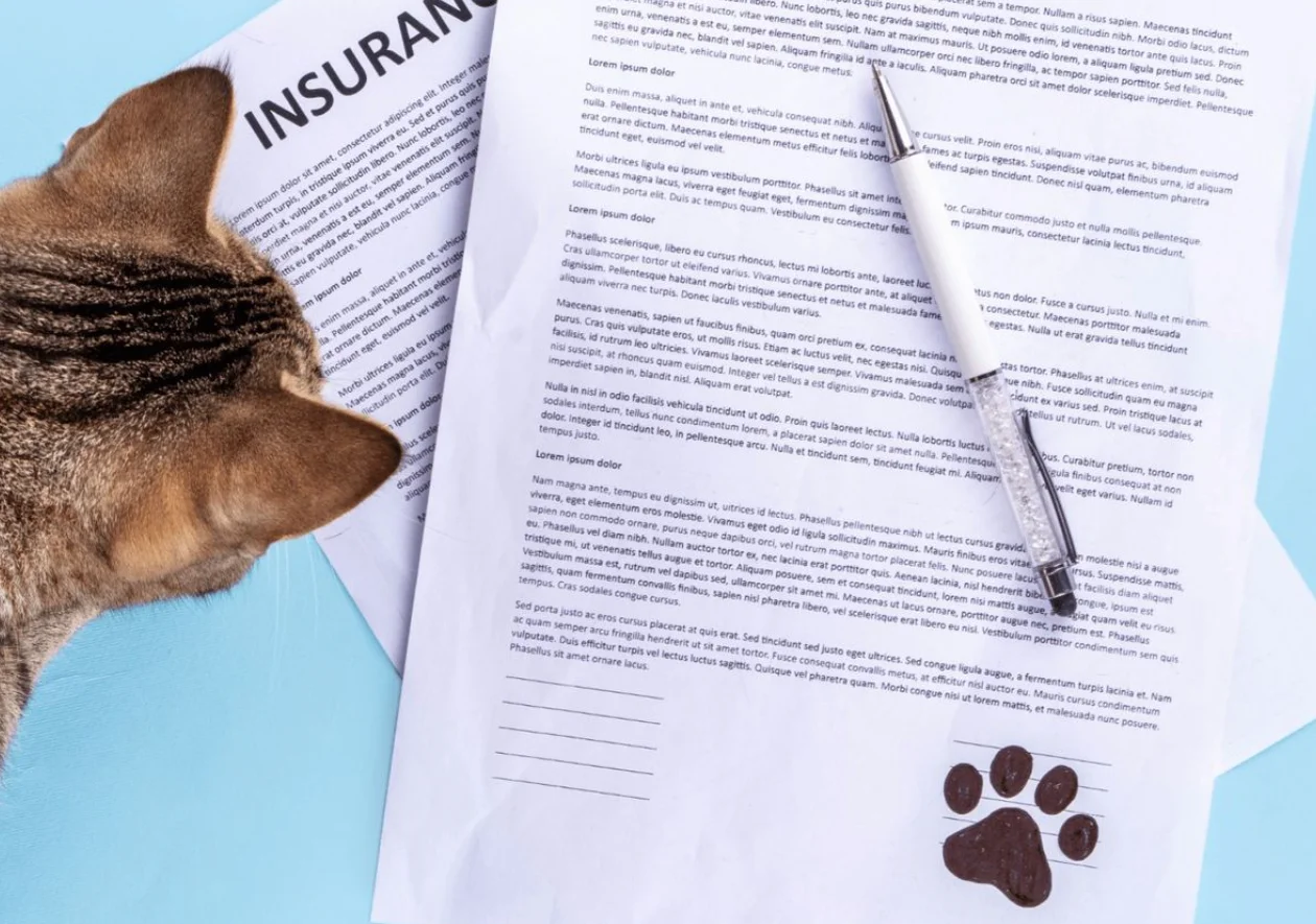 Factores que Influyen en el Costo de un Seguro para Mascotas